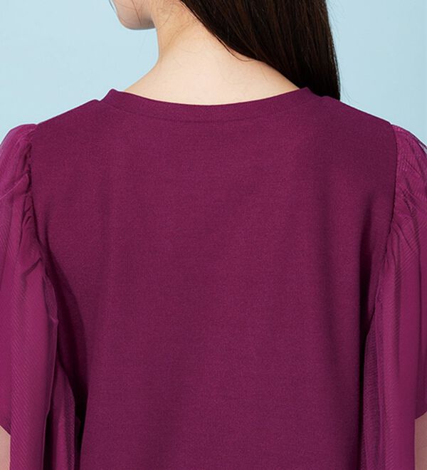 BELLUNA（ベルーナ）の「チュール使いフリル袖プルオーバー（カットソー）」｜詳細画像