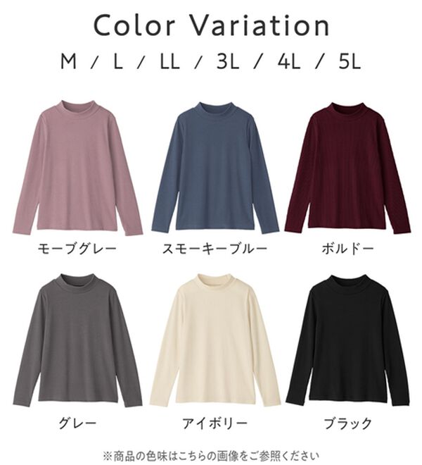Viola e Viola（ヴィオラ エ ヴィオラ）の「【チクチクしにくい！】柔らかリブプチハイネックプルオーバー（カットソー）」｜詳細画像