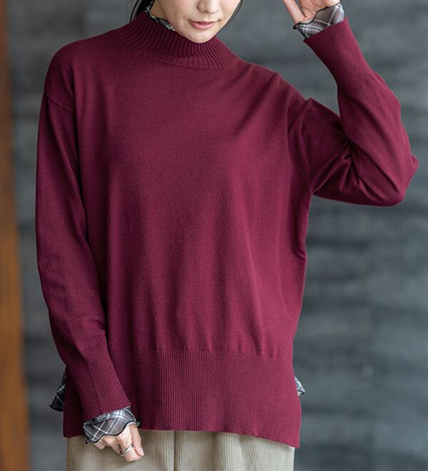 BELLUNA（ベルーナ）の「シアー素材ハイネックインナープルオーバー（カットソー）」｜詳細画像