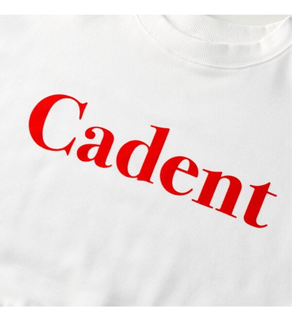 GeeRA（ジーラ）の「裏毛フロッキーロゴ短丈スウェット（トレーナー・スウェット）」｜詳細画像