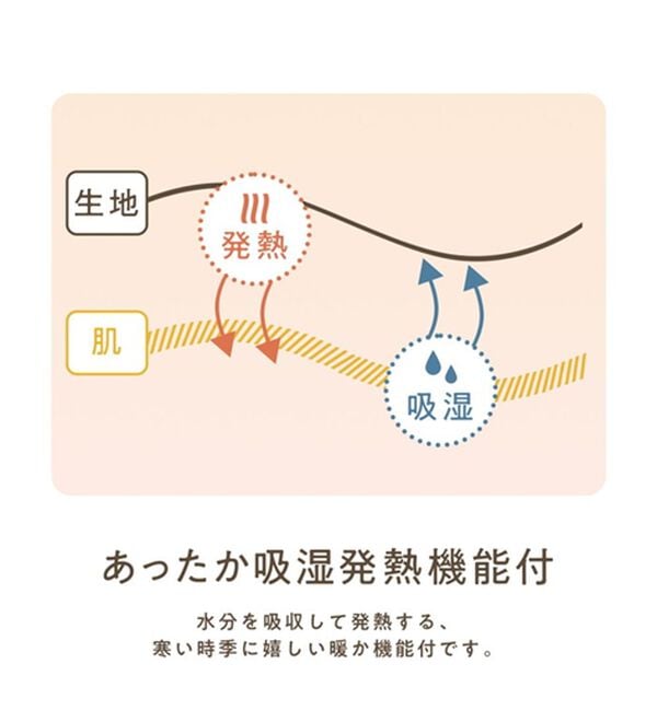 Viola e Viola（ヴィオラ エ ヴィオラ）の「【吸湿発熱・静電気防止】あったか綿裾見せレースインナー（カットソー）」｜詳細画像