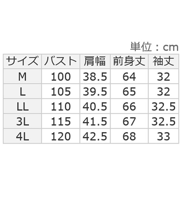 ルフラン（ルフラン）の「抗菌防臭衿つきコットン１００％プルオーバー（カットソー）」｜詳細画像