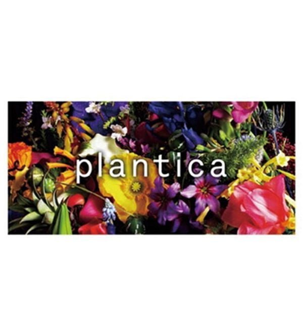 BELLUNA（ベルーナ）の「ｐｌａｎｔｉｃａ　上品ピンタックチュニック（フルレングスパンツ）」｜詳細画像