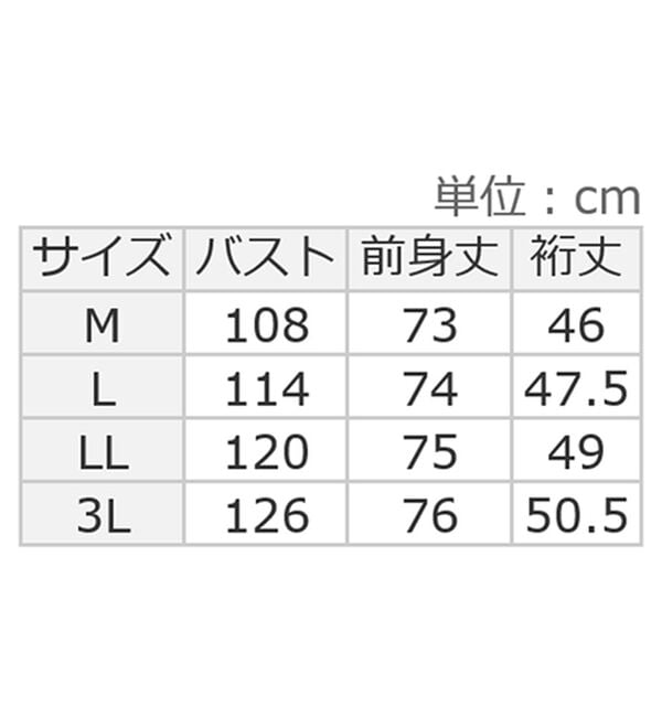 Viola e Viola（ヴィオラ エ ヴィオラ）の「軽やか綿混カットソーキーネックチュニック（チュニック）」｜詳細画像