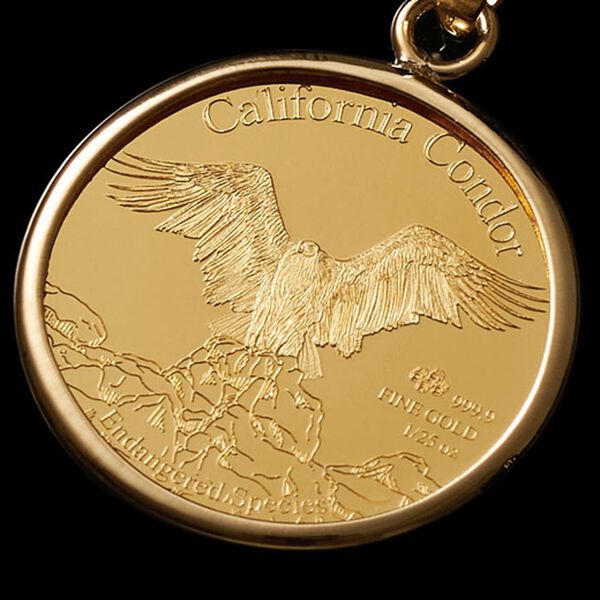 「純金コインペンダントコレクション（メンズネックレス）」｜詳細画像