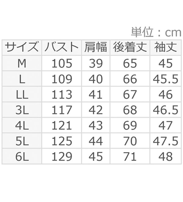 ルフラン（ルフラン）の「ピンタックブラウス（ブラウス）」｜詳細画像