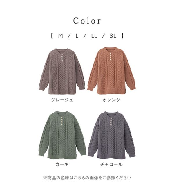 Viola e Viola（ヴィオラ エ ヴィオラ）の「ケーブル柄ヘンリーネックニットチュニック（ニット・セーター）」｜詳細画像