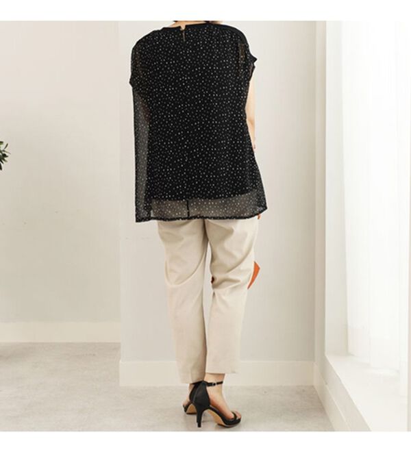 BELLUNA（ベルーナ）の「リブ使いシアーブラウス（カットソー）」｜詳細画像