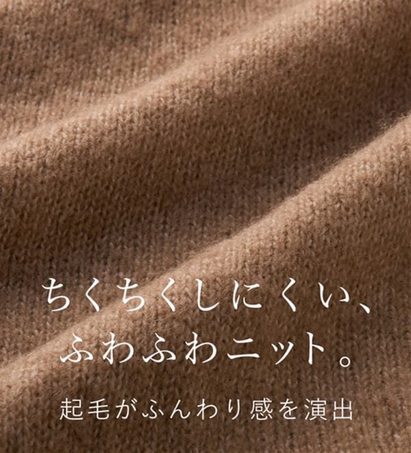 Viola e Viola（ヴィオラ エ ヴィオラ）の「【洗えるもちもち】首回りすっきり見せＶネックニット（ニット・セーター）」｜詳細画像