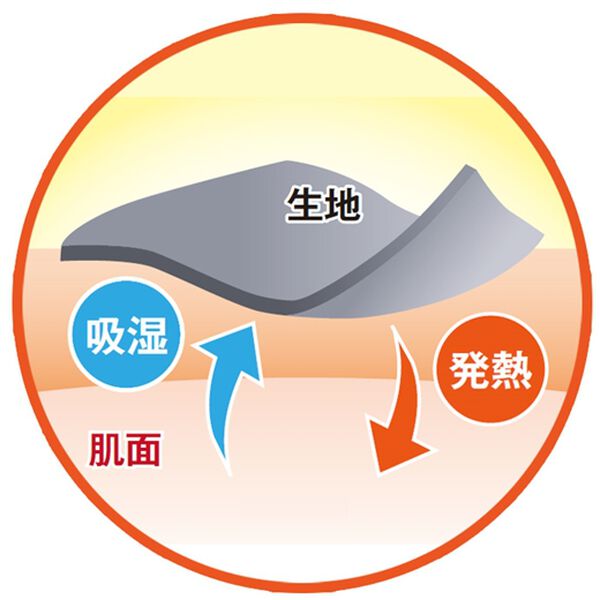 BELLUNA（ベルーナ）の「吸湿発熱ポンチ素材ポケット付チュニック（チュニック）」｜詳細画像