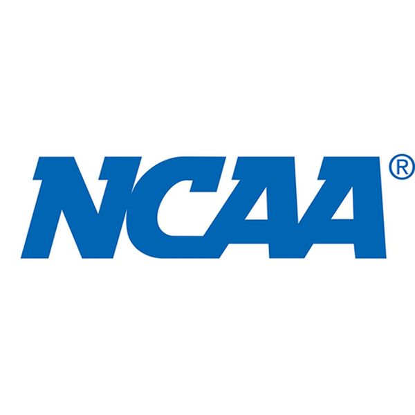 BELLUNA（ベルーナ）の「＜ＮＣＡＡ＞裏起毛ワッフルプルオーバー（カットソー）」｜詳細画像