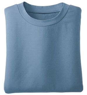 BELLUNA（ベルーナ）の「綿１００％抗菌防臭汗ジミ対策プルオーバー（カットソー）」｜ブルーグレー