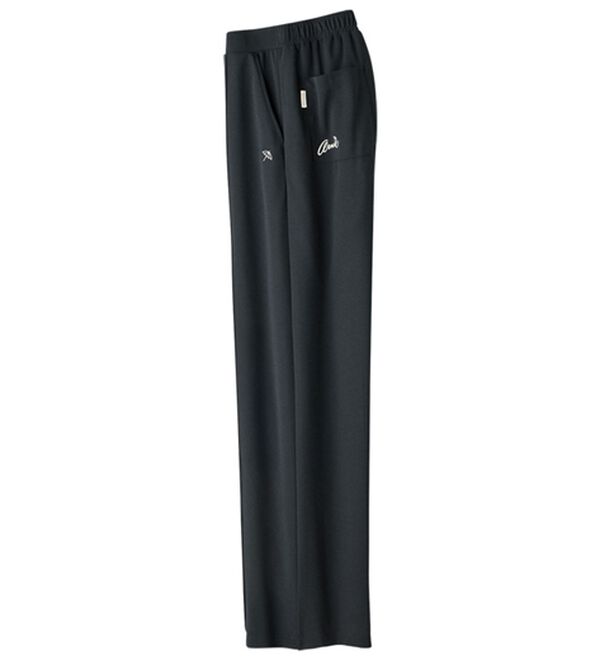 ルフラン（ルフラン）の「【２本組】【ａ・Ａ・Ｐ】すっと見えるセンターピンタックパンツ（フルレングスパンツ）」｜詳細画像