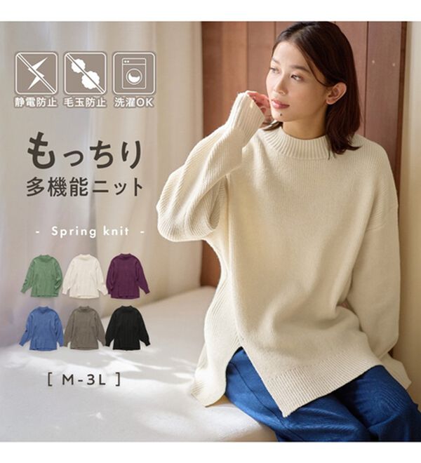 Viola e Viola（ヴィオラ エ ヴィオラ）の「【毛玉になりにくい・静電気防止】サイドスリットハイネックニット（ニット・セーター）」｜詳細画像