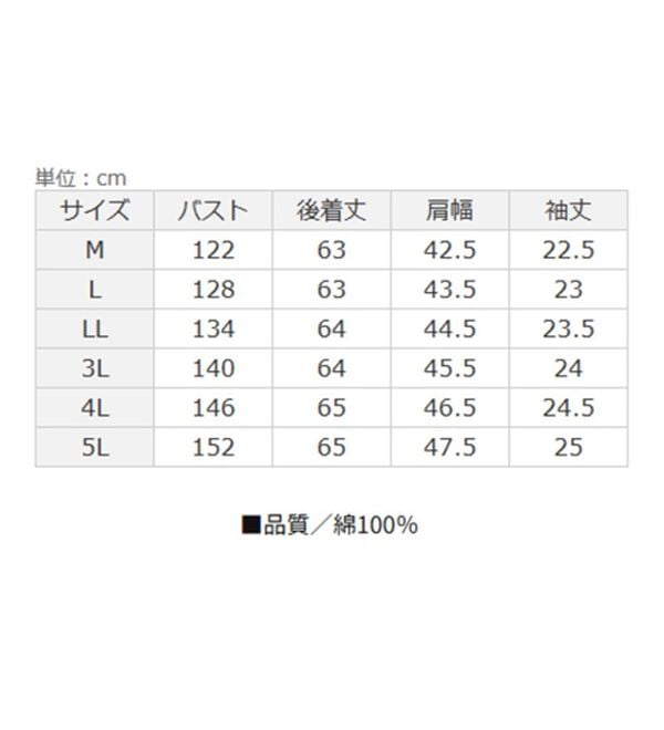 BELLUNA（ベルーナ）の「綿100％バンドカラーシャツブラウス（ブラウス）」｜詳細画像