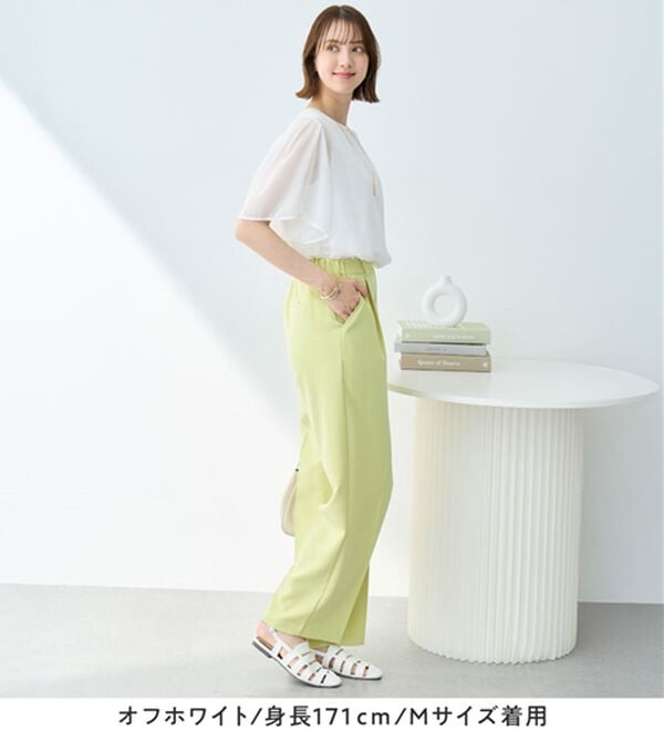 Viola e Viola（ヴィオラ エ ヴィオラ）の「【毎日着たい】カットソー裏地付ギャザーデザインブラウス（ブラウス）」｜詳細画像