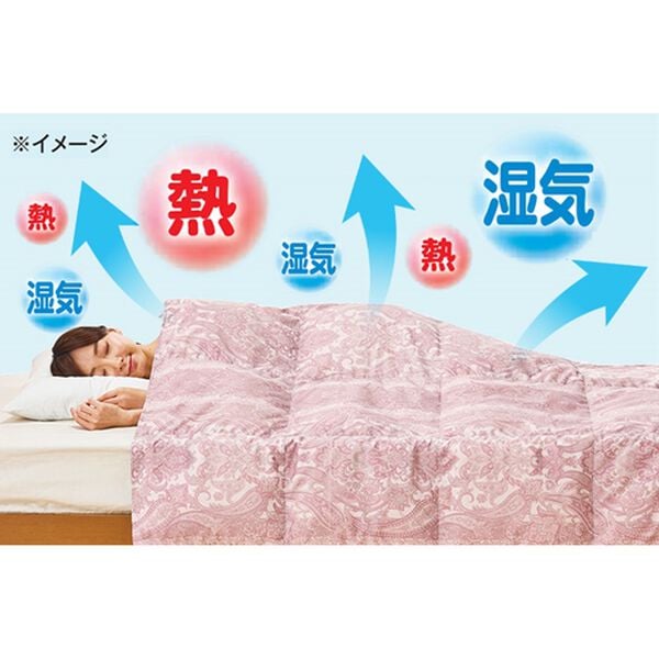 おうちで洗えるホワイトダックダウン羽毛肌布団 - ベルーナ【公式】