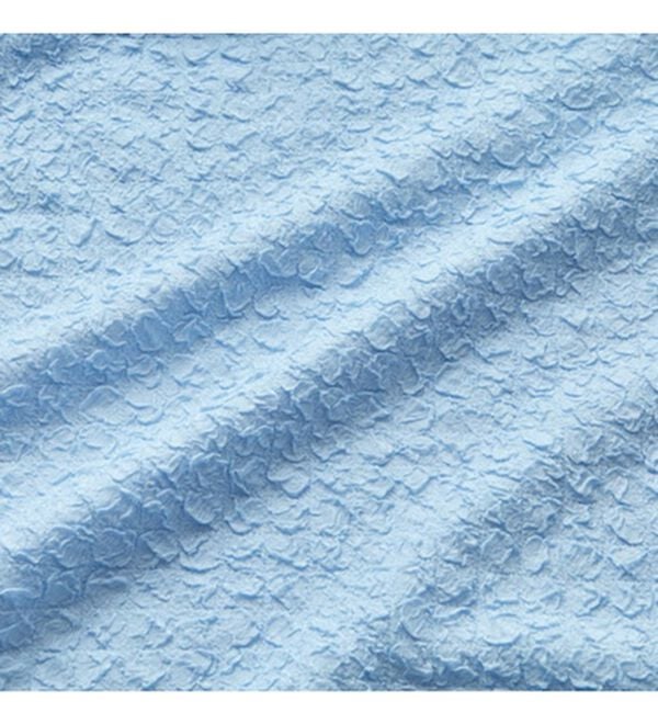 GeeRA（ジーラ）の「ふくれジャカードテクスチャーブラウス（ブラウス）」｜詳細画像