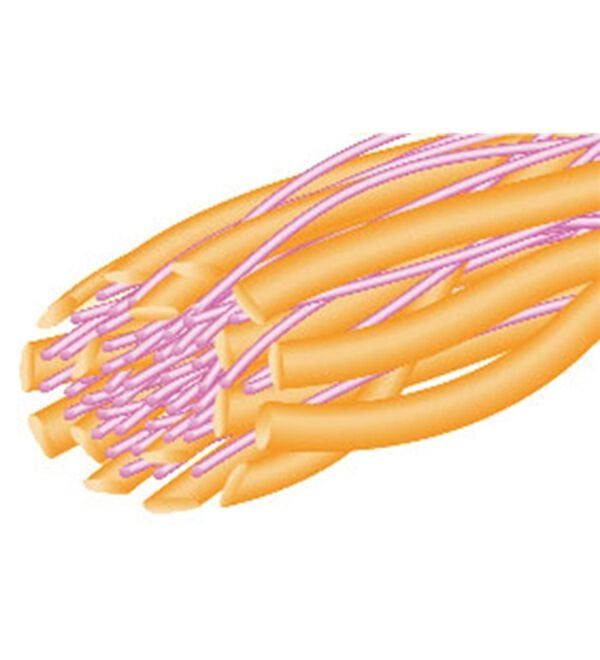 「日本製カシミヤタッチの大人ポロシャツ（メンズポロシャツ）」｜詳細画像