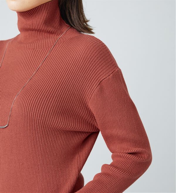 BELLUNA（ベルーナ）の「【安心感あるプチプラニット】リブニットタートルネックプルオーバー（ニット・セーター）」｜詳細画像
