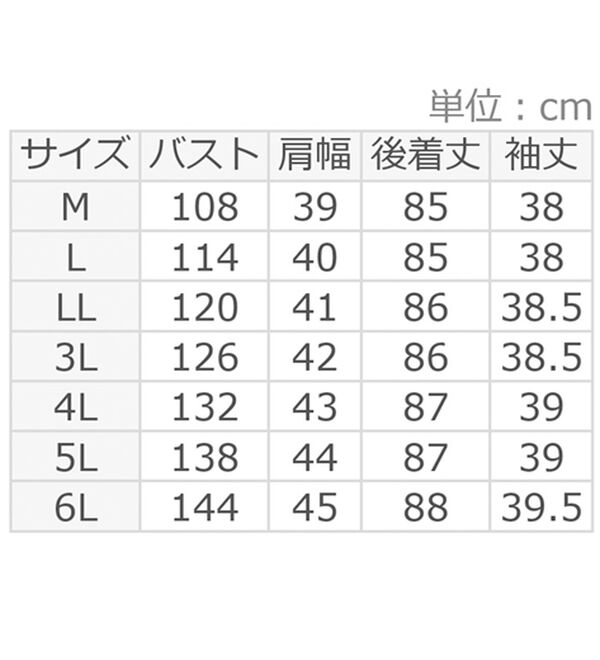 ルフラン（ルフラン）の「シャンブレー生地ロングブラウス（ブラウス）」｜詳細画像