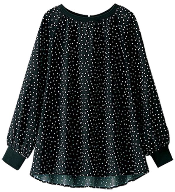 BELLUNA（ベルーナ）の「リブ切替デザインプリントブラウス（ブラウス）」｜黒系ドット