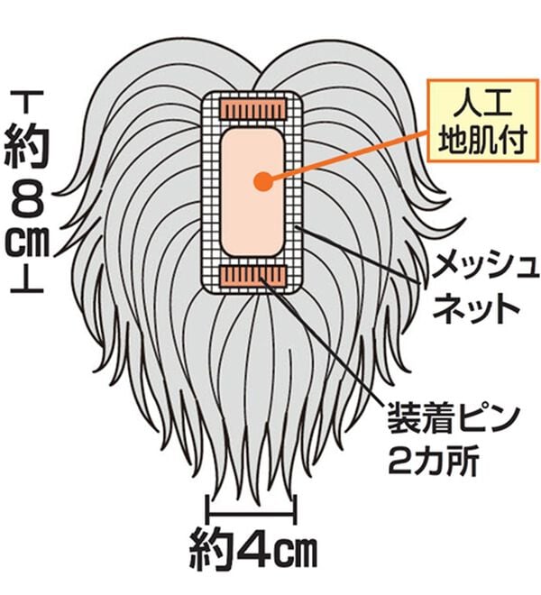 「人毛１００％総手植え地肌付き分け目ヘアピース（ウィッグ・ヘアピース・エクステ）」｜詳細画像