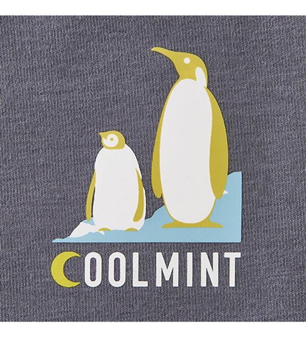 ルフラン（ルフラン）の「【３本組】＜ＣＯＯＬＭＩＮＴ＞瞬間ひやっとレギンス（スパッツ・レギンス）」｜詳細画像