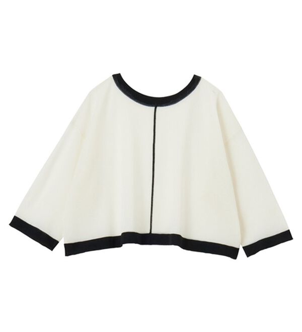 GeeRA（ジーラ）の「配色シアーニットトップス（ニット・セーター）」｜詳細画像