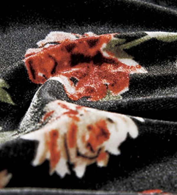 BELLUNA（ベルーナ）の「花柄プリントベロアワンピース（その他ワンピース）」｜詳細画像