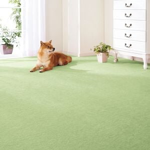 「防ダニ・抗菌・防炎　カットパイルカーペット（カーペット）」｜詳細画像