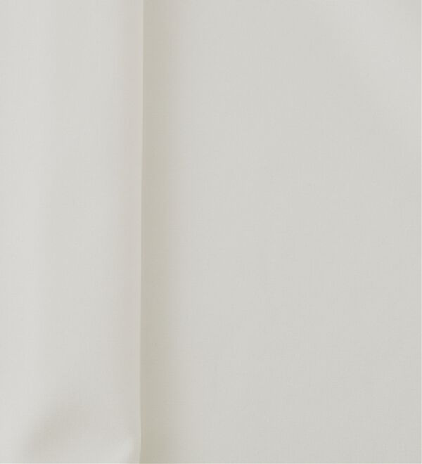 RANAN（ラナン）の「ボリュームフリル袖シアーブラウス（ブラウス）」｜詳細画像