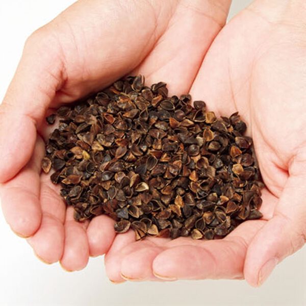 「色柄お任せ　首に優しいそばがら枕２個組（枕）」｜詳細画像