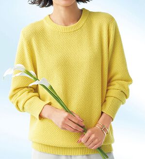 BELLUNA（ベルーナ）の「ずっとさわっていたくなる　ウールカシミヤセーター（ニット・セーター）」｜詳細画像