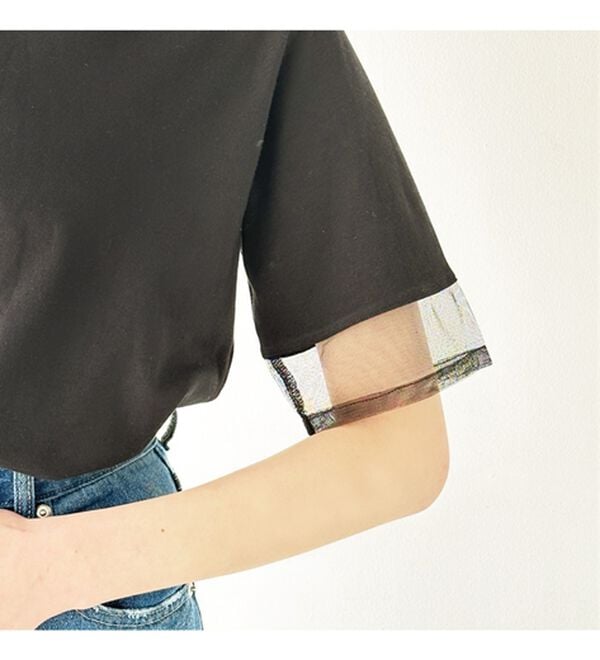 GeeRA（ジーラ）の「綿１００％袖シアー切替シルケットＴシャツ（Tシャツ）」｜詳細画像