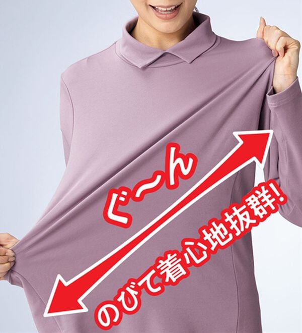 ルフラン（ルフラン）の「柔らかコットン衿付プルオーバー（カットソー）」｜詳細画像