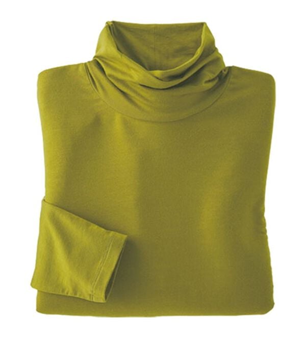 BELLUNA（ベルーナ）の「なめらかテンセル（ＴＭ）繊維ストレッチプルオーバー（カットソー）」｜ライム