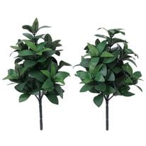 「お墓・仏壇用　しきみ２本セット（仏壇・仏具）」