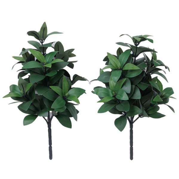 「お墓・仏壇用　しきみ２本セット（仏壇・仏具）」｜詳細画像