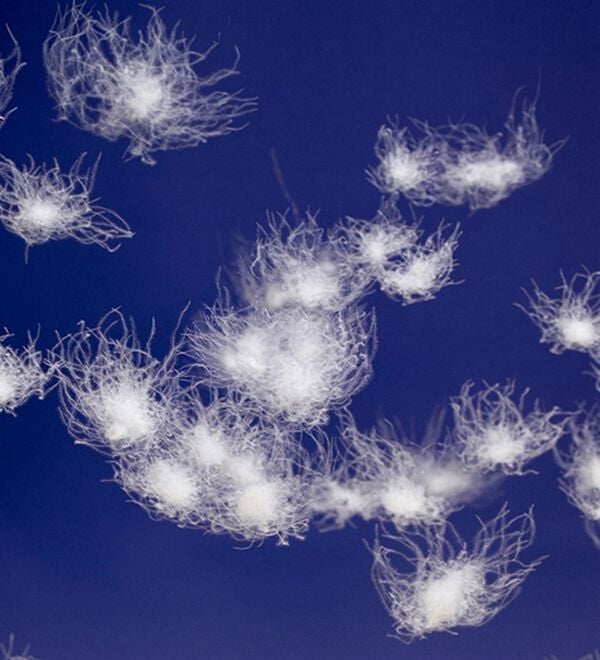 「＜アーノルド　パーマー＞ポケッタブルダウンベスト（メンズベスト）」｜詳細画像