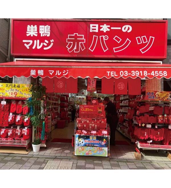 LAVIENNE（ラヴィエンヌ）の「【３枚組】幸運をまとうお腹お尻すっぽりショーツ（ショーツ）」｜詳細画像