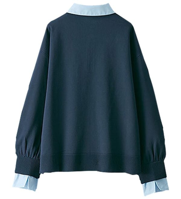 BELLUNA（ベルーナ）の「シャツ衿使いニットプルオーバー（ニット・セーター）」｜詳細画像