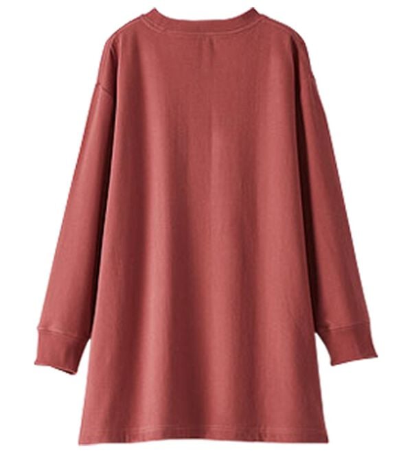 BELLUNA（ベルーナ）の「【快適Ｌａｂ．】ふんわりピーチ起毛切替チュニック（チュニック）」｜詳細画像