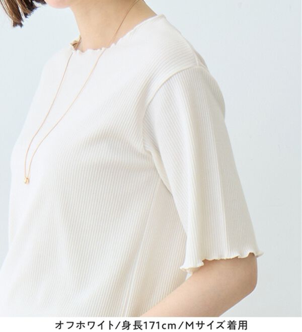 Viola e Viola（ヴィオラ エ ヴィオラ）の「【ひんやり／上品】リブメロウＴシャツ（カットソー）」｜詳細画像