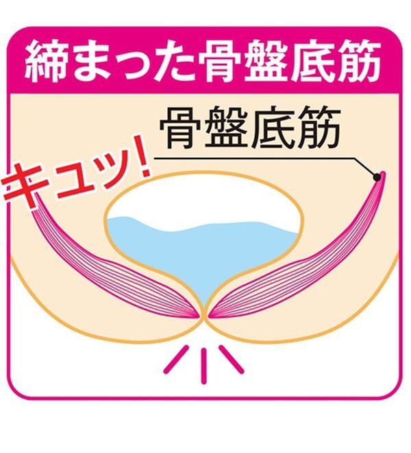 「【５色組】新・骨盤底筋サポート安心ショーツ（安心ショーツ）」｜詳細画像