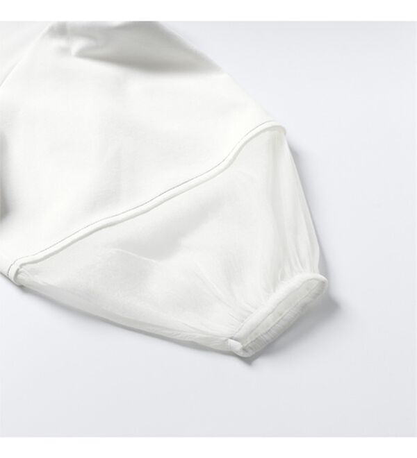 GeeRA（ジーラ）の「袖シアー切替ランタンスリーブトップス（カットソー）」｜詳細画像