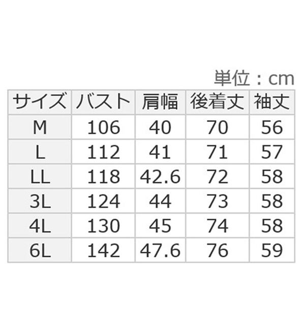 ルフラン（ルフラン）の「【２色組】【ＰＯＬＯ　ＢＣＳ】柔らかネル素材ブラウス（ブラウス）」｜詳細画像