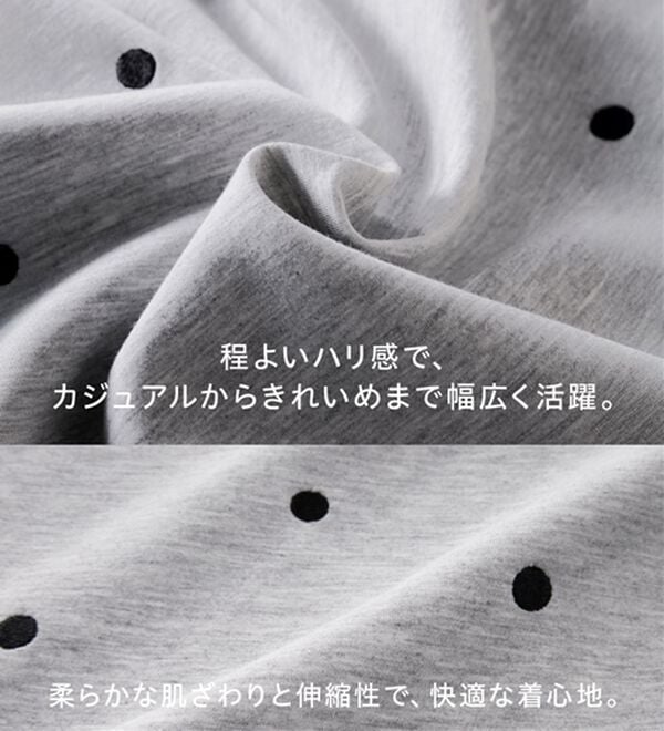 GeeRA（ジーラ）の「ドット刺繍ハーフジップダンボールトップス（カットソー）」｜詳細画像