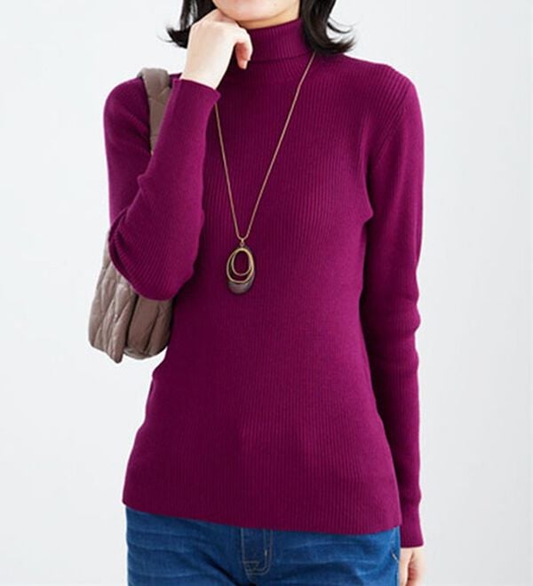 BELLUNA（ベルーナ）の「リブニットタートルプルオーバー（ニット・セーター）」｜詳細画像