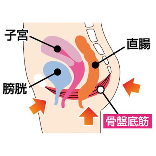 「もっちり素材の骨盤底筋クッション（クッション・クッションカバー）」｜詳細画像